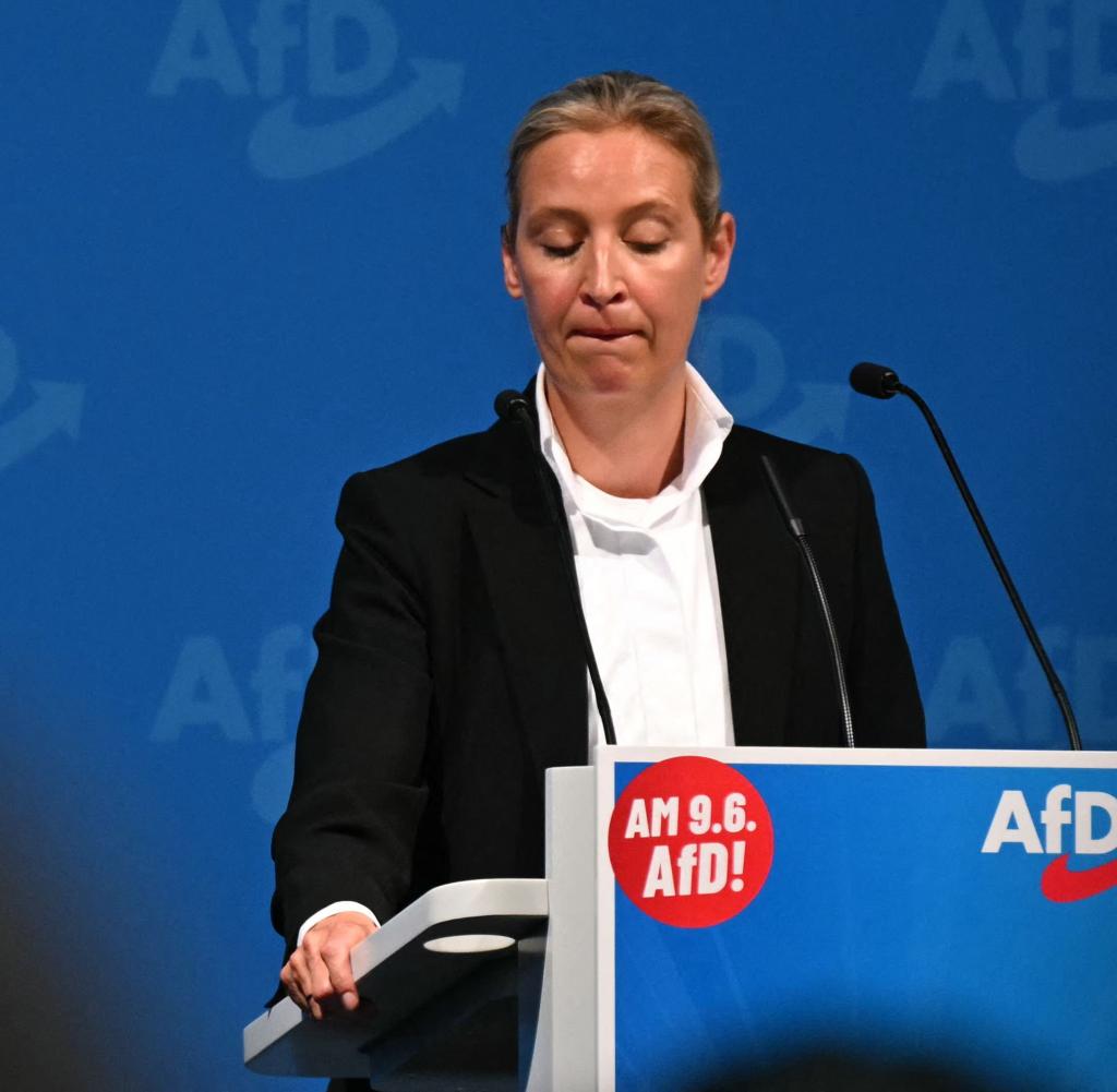 AfD Liderinden Olay Sözler: Göçmenleri Silah Zoruyla Sınır Dışı İddiası
