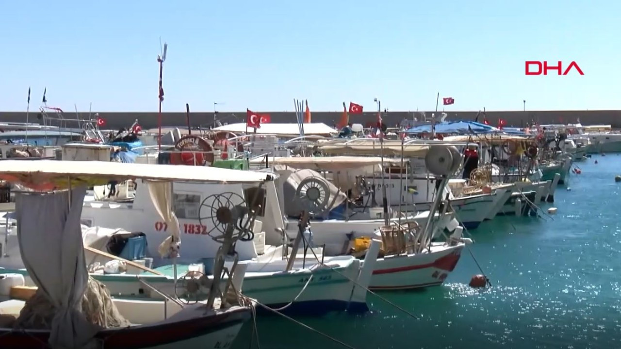 Akdeniz'de Tehlike Büyüyor: 800'den Fazlası Kalıcı Hale Geldi