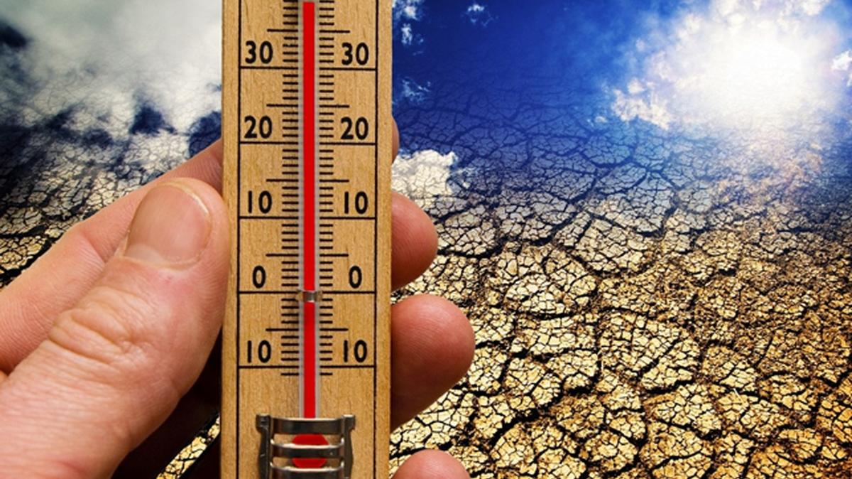 Almanya'da Yüksek Sıcaklık Felaketi: Can Kaybı 10 Bine Yaklaştı