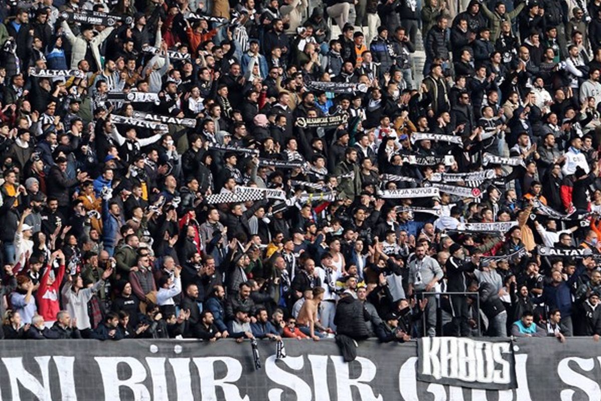 Altay'ın 112 Yıllık Çınarı Kayyum Sürecine Girdi