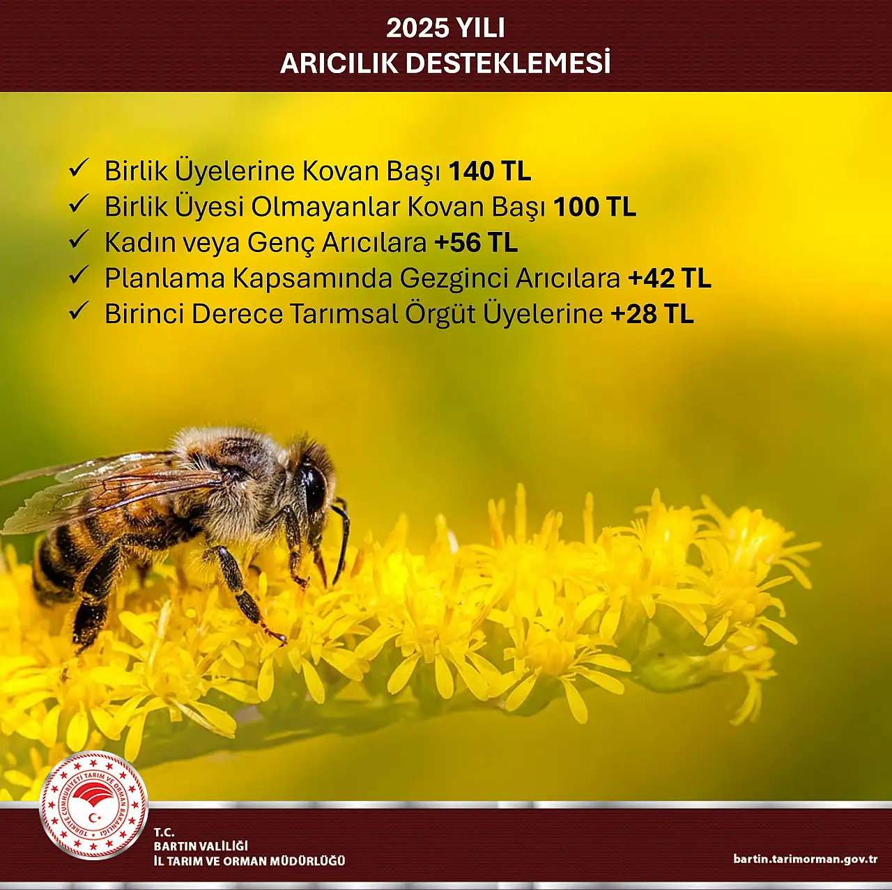 Arıcılardan Kovan Başına 100 TL Ücret Meclis Gündeminde: Üreticiye Yeni Yük