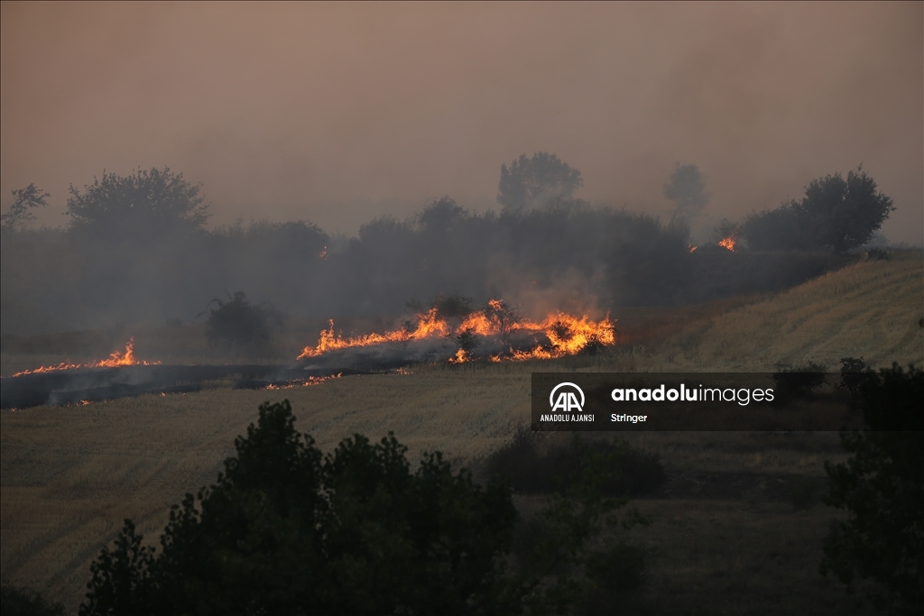 Avrupa Orman Yangınları Eski Savaş Bombalarını Ortaya Çıkarıyor