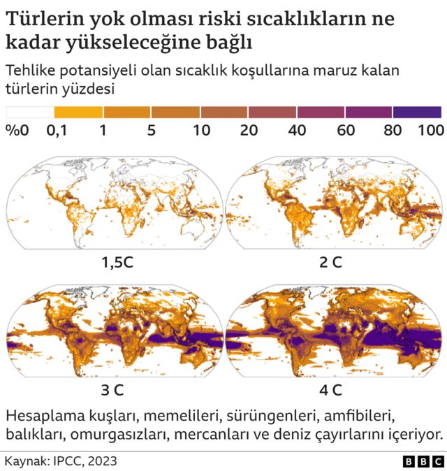 Bakan Kacır'dan Arktik'te Küresel İklim Değişikliği Vurgusu