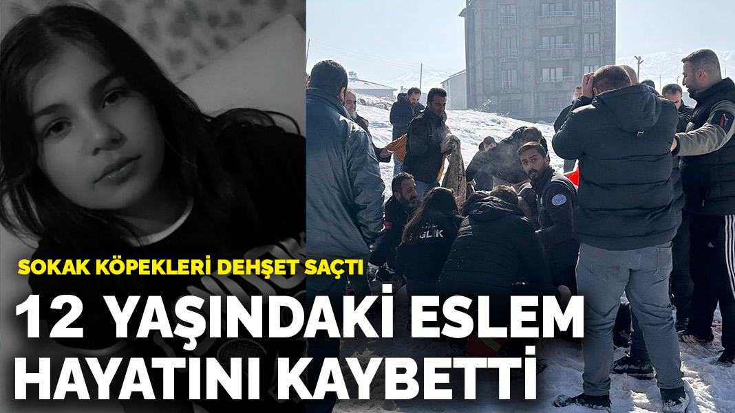 Başakşehir Ortaokulunda Bıçaklı Saldırı: Eslem Sare Bulut Hayatını Kaybetti
