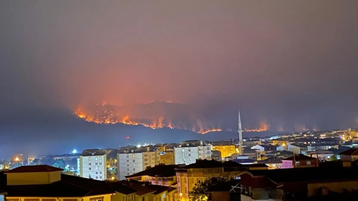Belçika'daki Büyük Orman Yangını Meclis Komisyonunu Olağanüstü Topladı