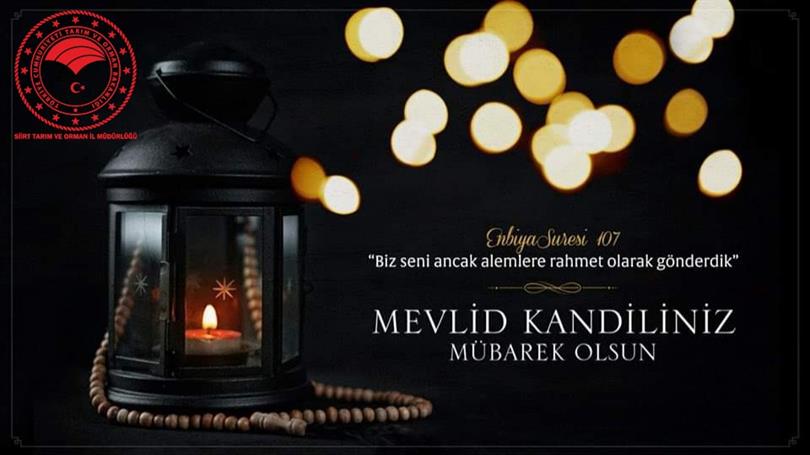 Cumhurbaşkanı Erdoğan'dan Mevlit Kandili Mesajı: Hayırlara Vesile Olsun