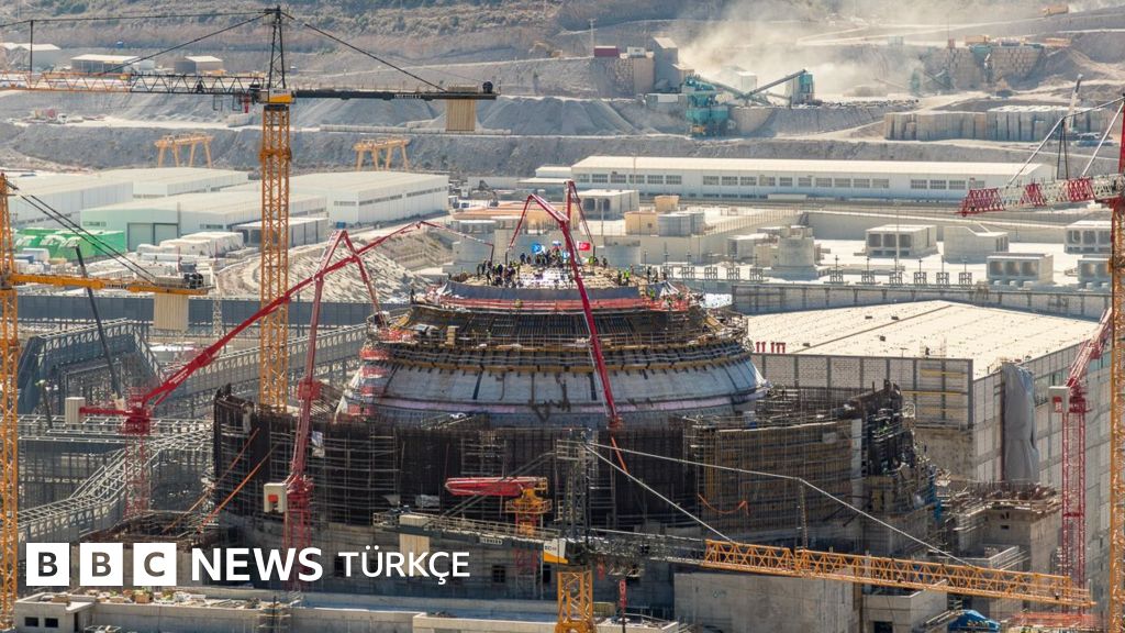Denizanaları Fransa'da Nükleer Santrali Vurdu: 3 Reaktör Kapandı