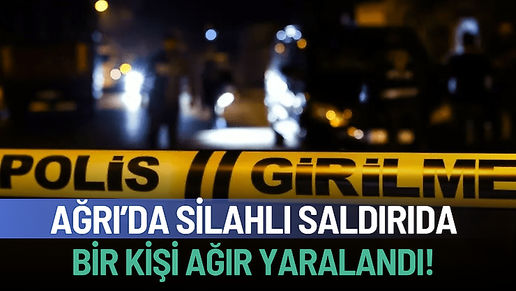 Dersim'de Silahlı Saldırı: Bir Kişi Yaralandı, Şüpheli Gözaltında
