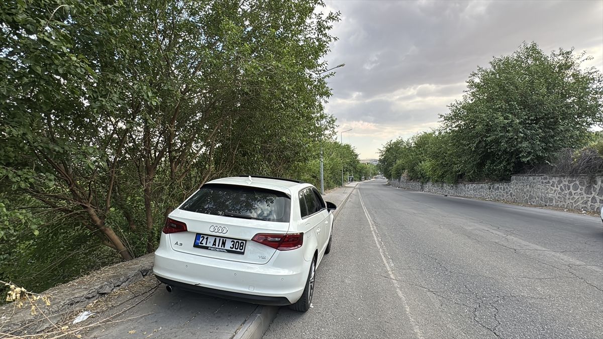 Diyarbakır'da Silahlı Saldırı: Bir Kişi Hayatını Kaybetti