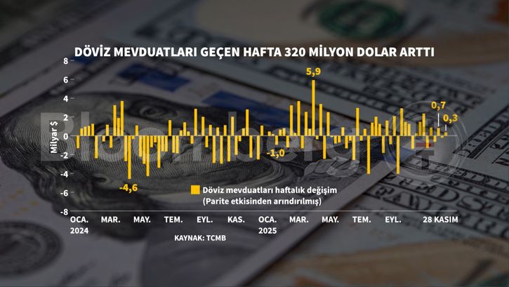 Döviz Mevduatlarında Rekor Artış Sürüyor, KKM Geriliyor