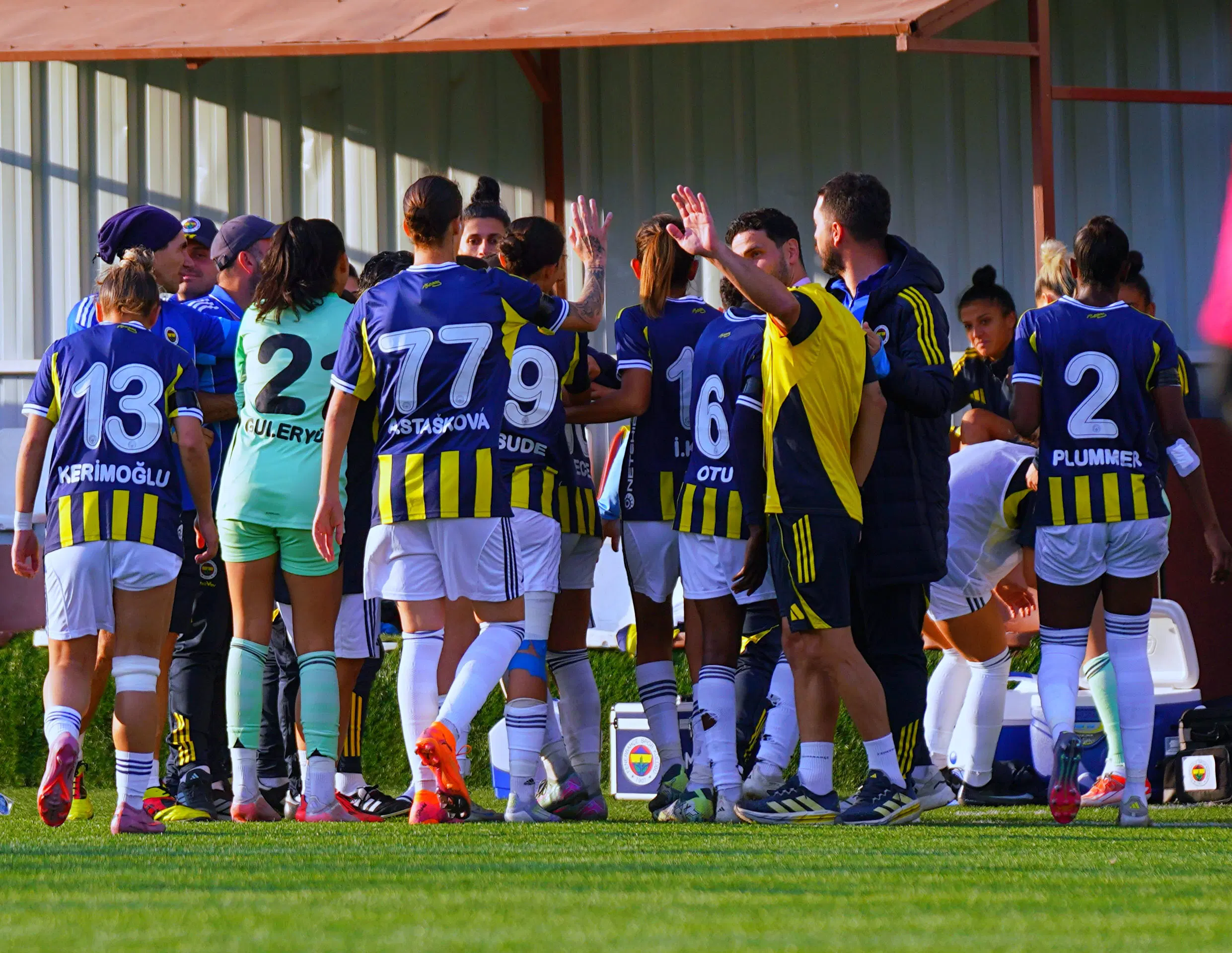 Fenerbahçe arsaVev Avrupa Yolculuğuna Devam Ediyor