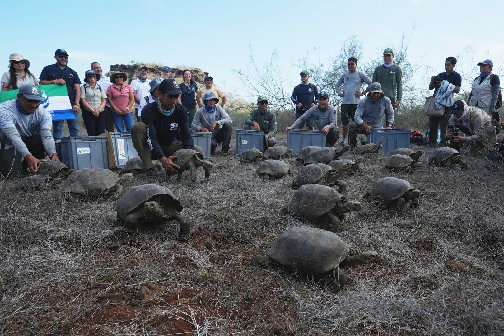 Floreana Adası'nda Zehirli Yem Operasyonu: Doğal Yaşam Canlandı