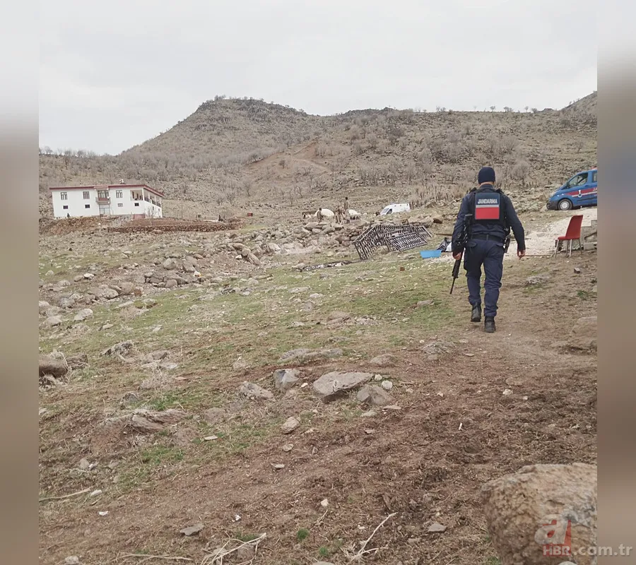 Hipodromlarda Kanlı Kavgalar: Diyarbakır ve Elazığ'da Çok Sayıda Yaralı