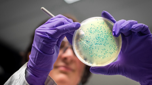 İngiltere'de Salmonella Salgını: 207 Kişi Hastanelik, Bir Can Kaybı