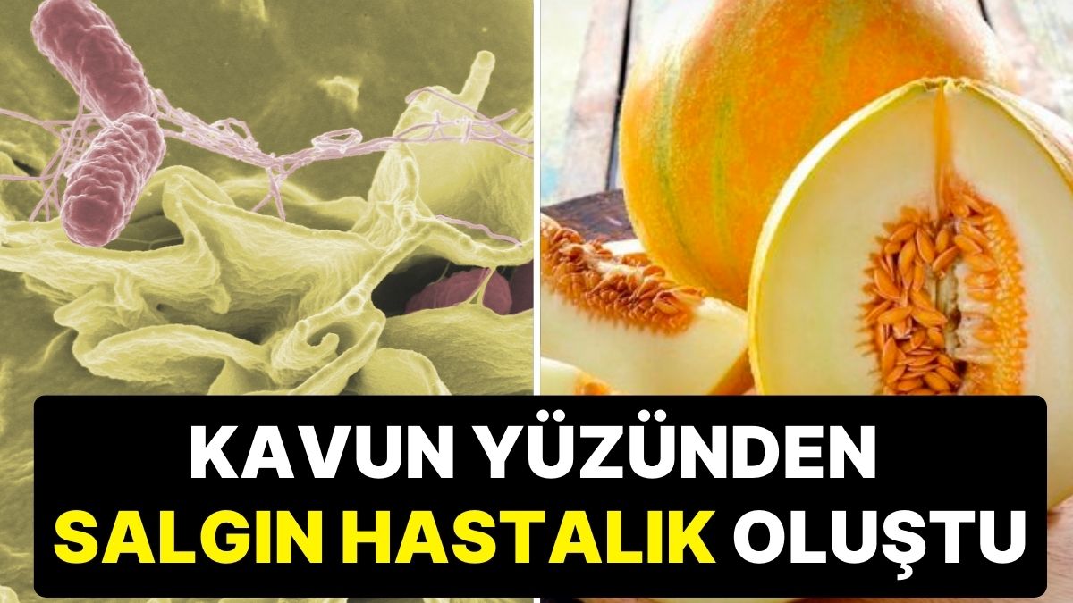 İngiltere'de Yumurta Kaynaklı Salmonella Salgını: 207 Vaka, 1 Can Kaybı