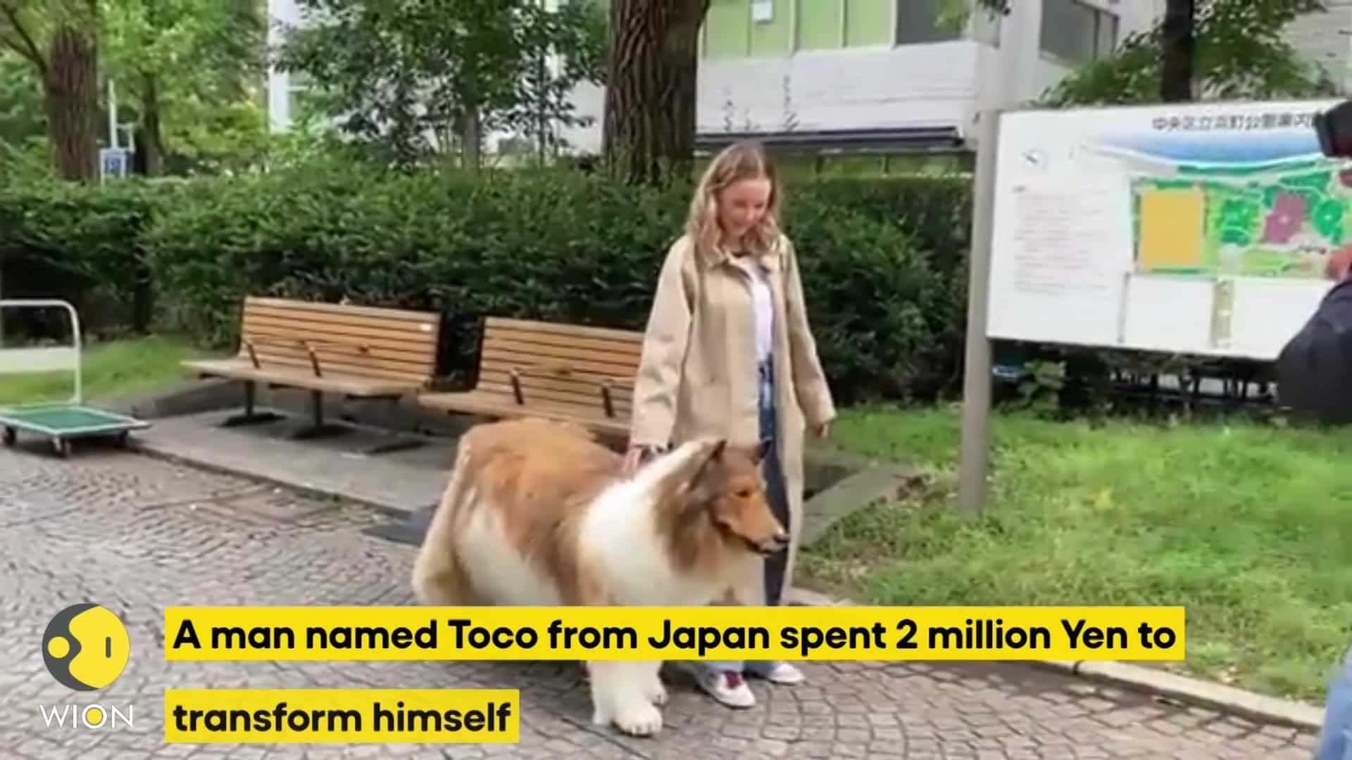Japonya'dan Toco: 2 Milyon Yen Harcayarak Köpek Kostümüyle Viral Oldu