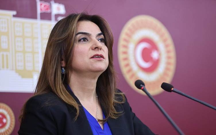 Koçyiğit: Çerçeve Yasa Yeni Bir Başlangıç, Barış İzleme Kurulu Şart