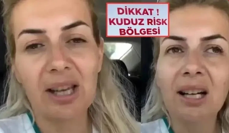 MASAK İnceledi: Ünlülerin AHBAP'a 14 Milyonluk Bağışları Ortaya Çıktı