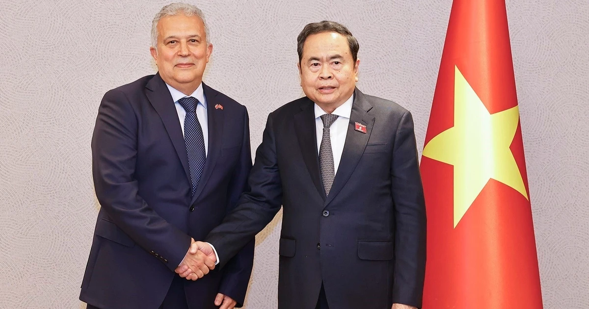 Tran Thanh Man ve Kurtulmuş'tan Türkiye-Vietnam İş Birliği Mesajı