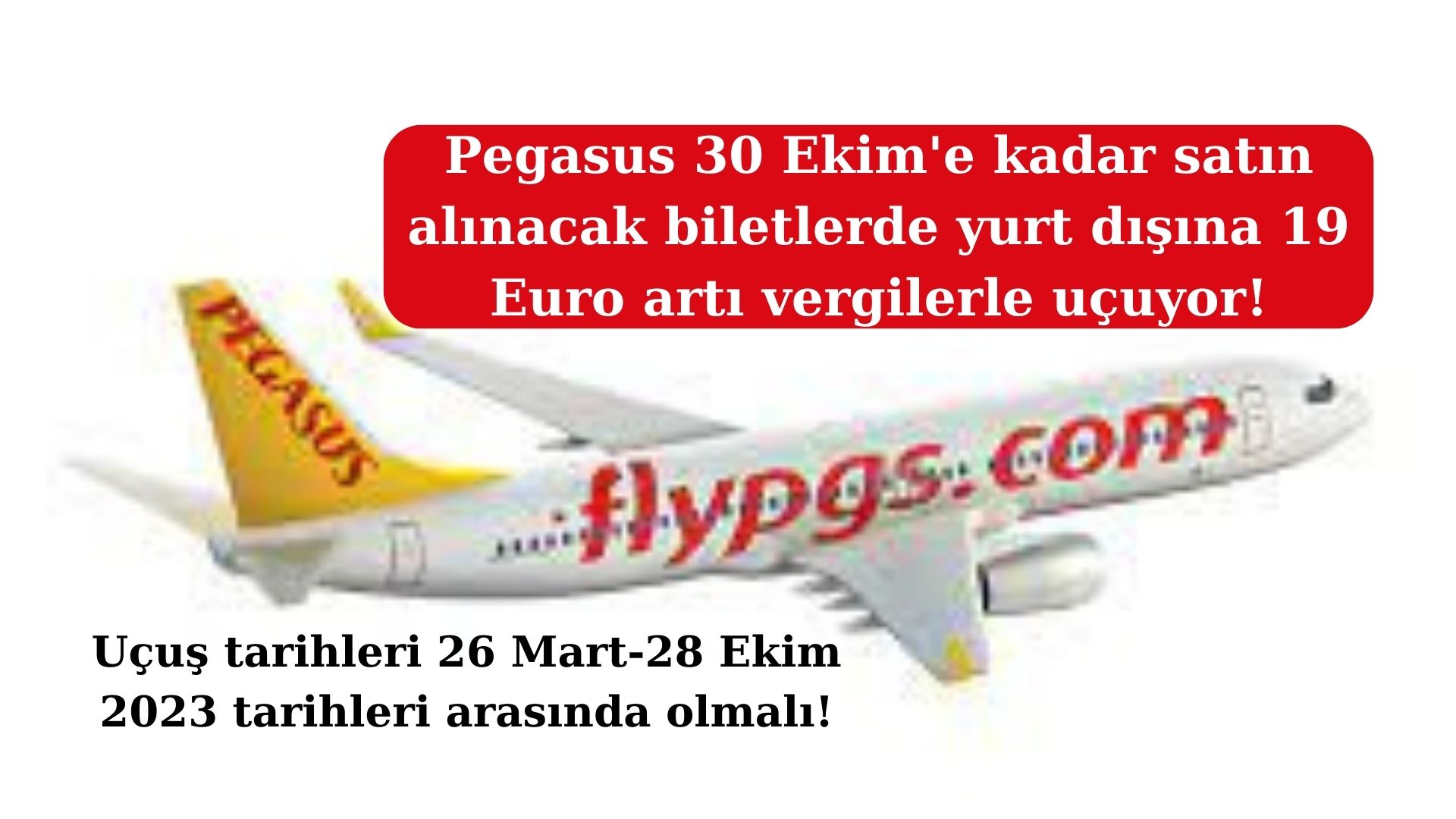 Ucuza Uçmak İsteyenlere Müjde: Yeni Hava Yolu 19 Euro'dan Bilet Satacak!