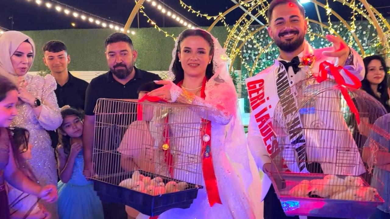 Ustadan Eski Çırağına Sıra Dışı Düğün Hediyesi: Altın Yerine 100 Civciv